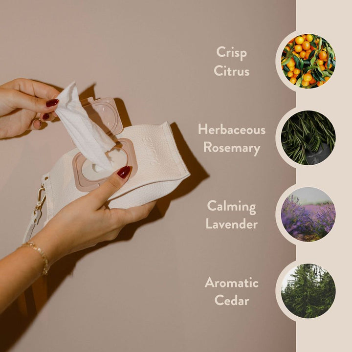 Paume Cleansing Hand & Body Wipes (20 count)