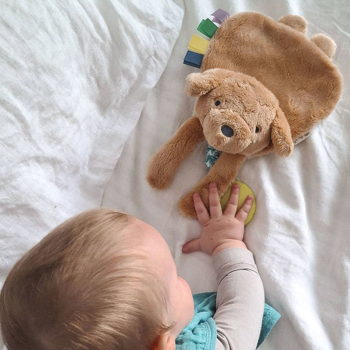 Itzy Ritzy Itzy Lovey Plush and Teether Toy