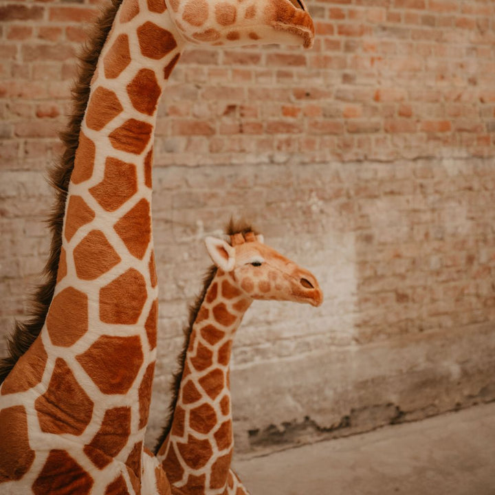 Wild & Soft Big & Soft Animal Plush Toy - Giraffe (54 inch)