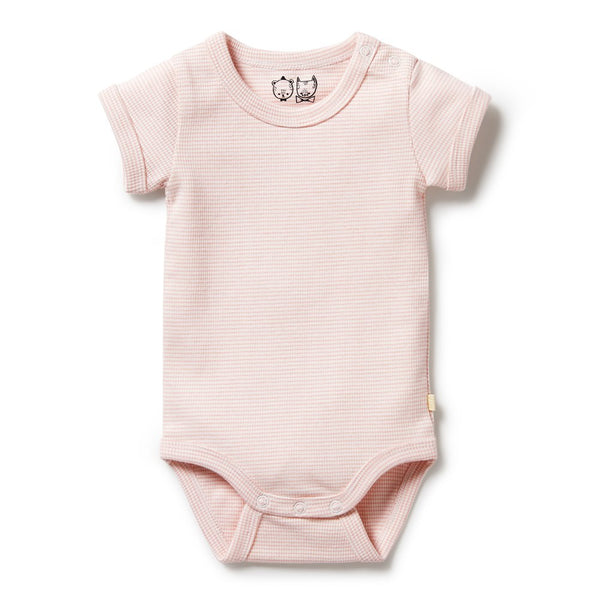 Wilson+Frenchy Organic Cotton Striped Short Sleeve Onesie - Cantaloupe (0-3 Months, 4-6 Kg)