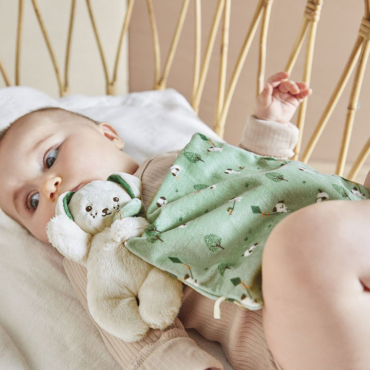 Kaloo Dog Comforter Plush Toy Doudou Dog Green – Dear-Born Baby