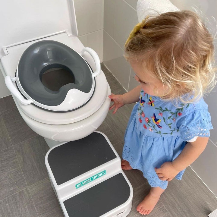 Prince Lionheart Tinkle Trainer Potty Seat