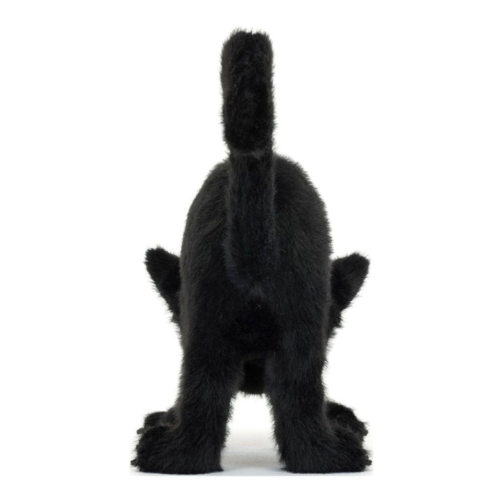 Jellycat Plush Toy - Spookipaws Cat (8 inch)