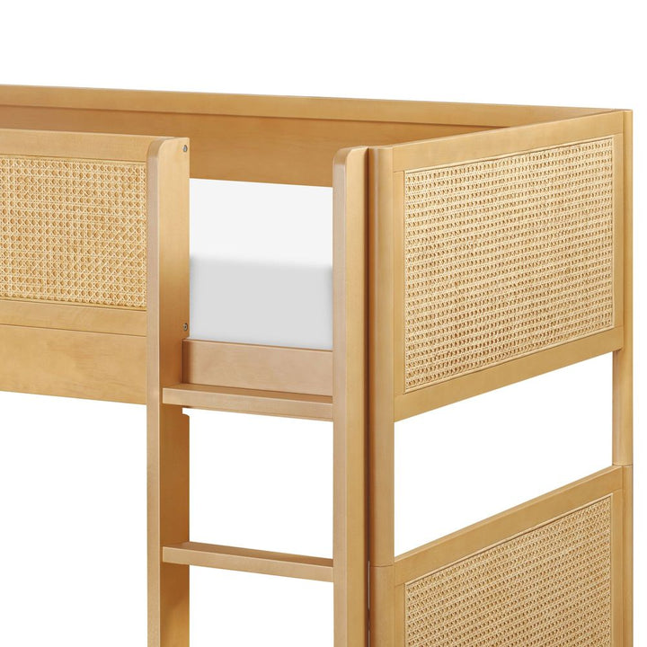 Babyletto Bondi Cane Convertible Bunk Bed - Honey