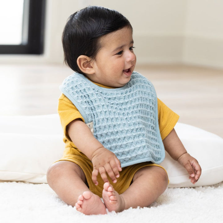 Good Little Citizens Reversible Bib + Burp Set