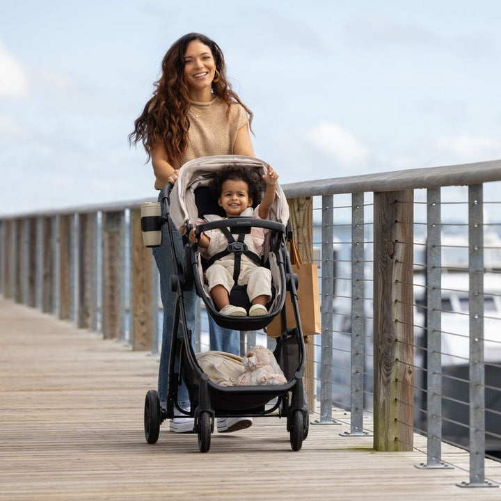 Evenflo Omni Signature and LiteMax Travel System - Porto Black