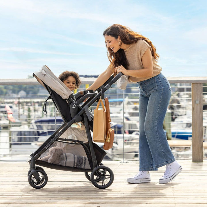 Evenflo Omni Signature and LiteMax Travel System - Porto Black