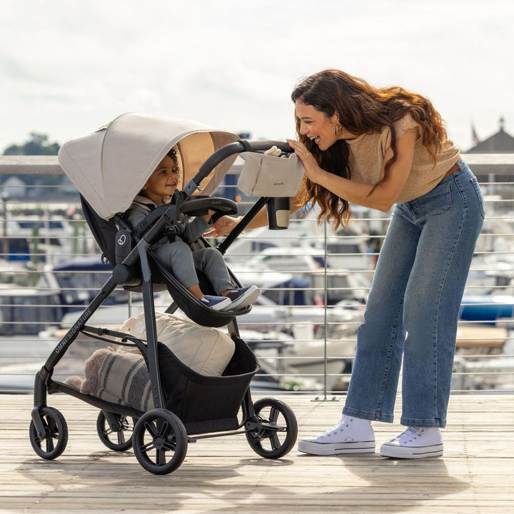 Evenflo Omni Signature and LiteMax Travel System - Porto Black