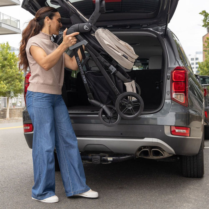 Evenflo Omni Signature and LiteMax Travel System - Porto Black