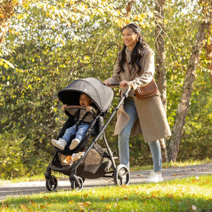 Evenflo Shyft Intuiti and Revolve180 LiteMax NXT Travel System - Black Shale