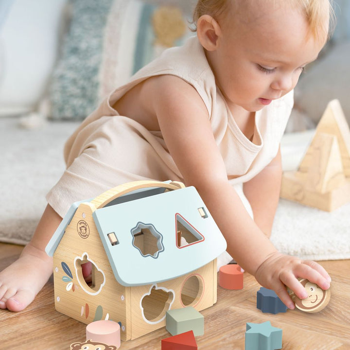 Speedy Monkey House Shape Sorter Activity Toy