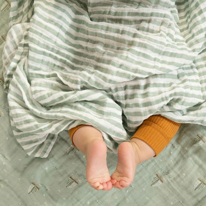 Aden + Anais 4-Pack Boutique Organic Swaddles