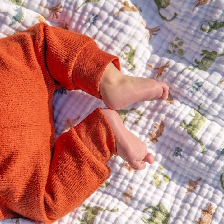 Aden + Anais Essentials Muslin Dream Blanket - Dino Jungle